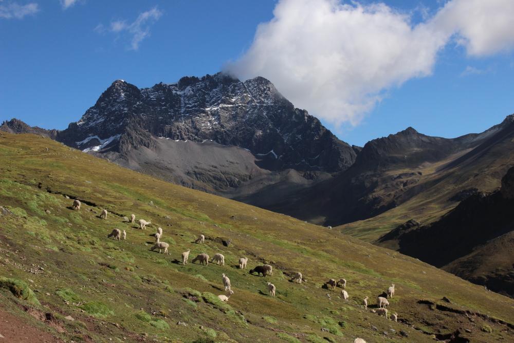 Treking Ausangate from Cusco, 7 days