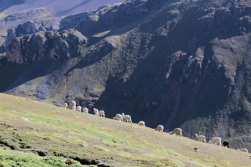 Treking Ausangate from Cusco, 7 days