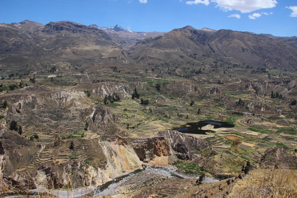 Tour from Puno to Colca Canyon with transfer to Arequipa, 2 days