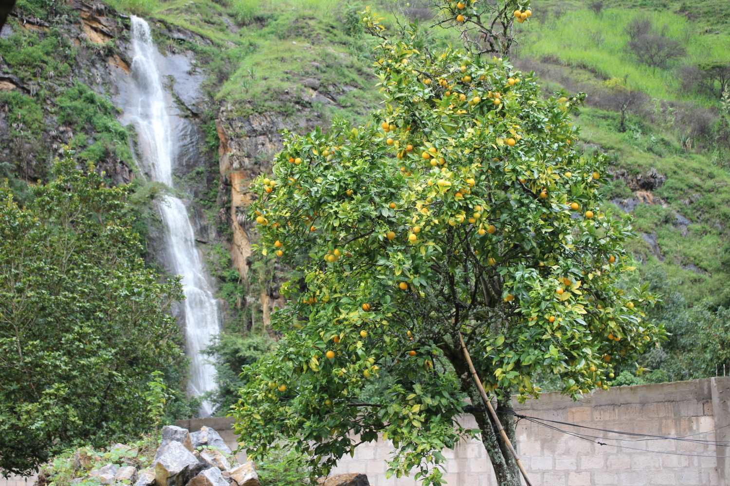Peru Chachapoyas