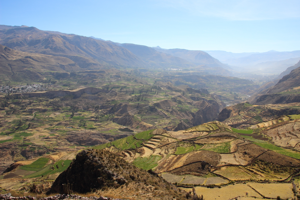 Tour to Colca Canyon from Puno with transfer to Arequipa, 3 days