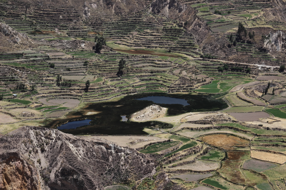 Tour to Colca Canyon from Puno with transfer to Arequipa, 3 days