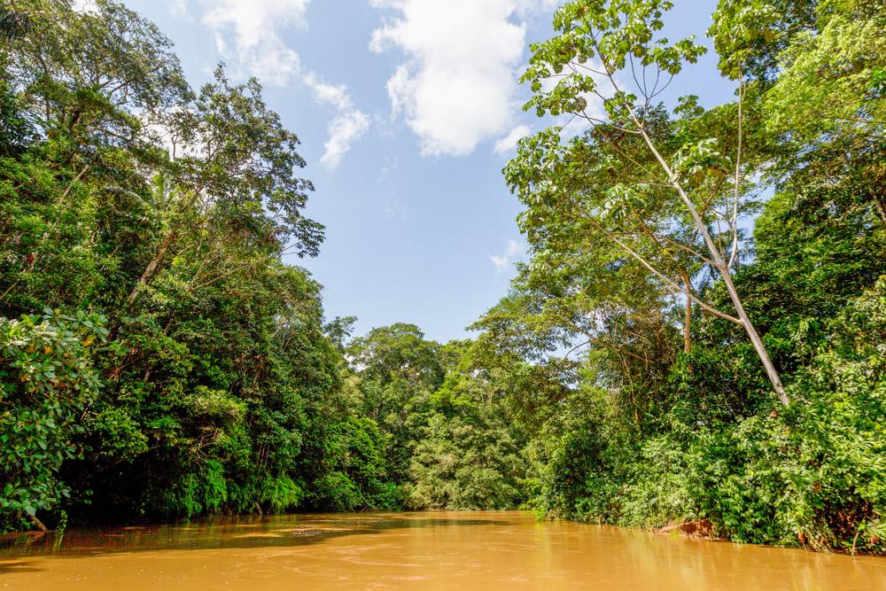 Amazon Jungle tour, 4 days in Heliconia Lodge