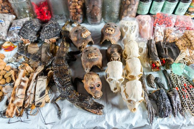 Iquitos, Belen market, Peru