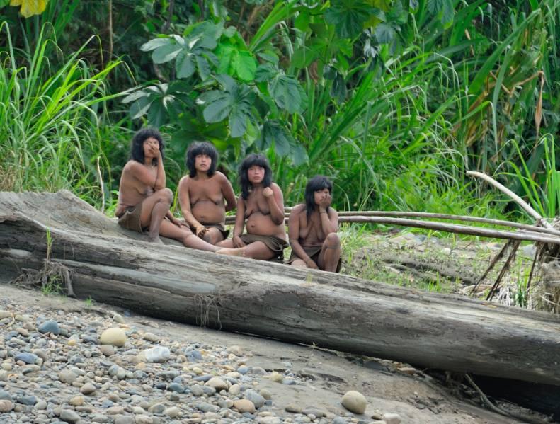 Manu National park, Национальный парк Ману, заповедник Ману 