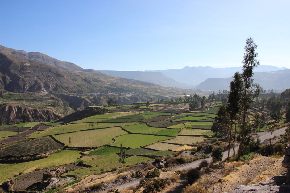 Каньон реки Колка / Colca Canyon