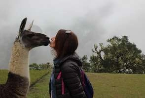 Amazing Peru