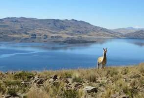 Amazing Peru