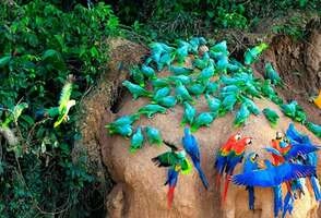 "Hidden treasures of Peru". 10-day tour