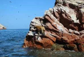 "Hidden treasures of Peru". 10-day tour
